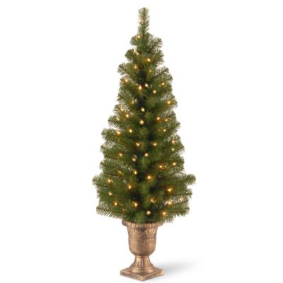 National Tree Company 4 FT Montclair Spruce Entrance Tree