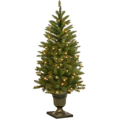 National Tree Company 4' Dunhill Fir Entrance Tree with 70 Clear Lights in Dark Bronze Pot